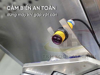 Máy thái khoai tây chiên công nghiệp TH-90